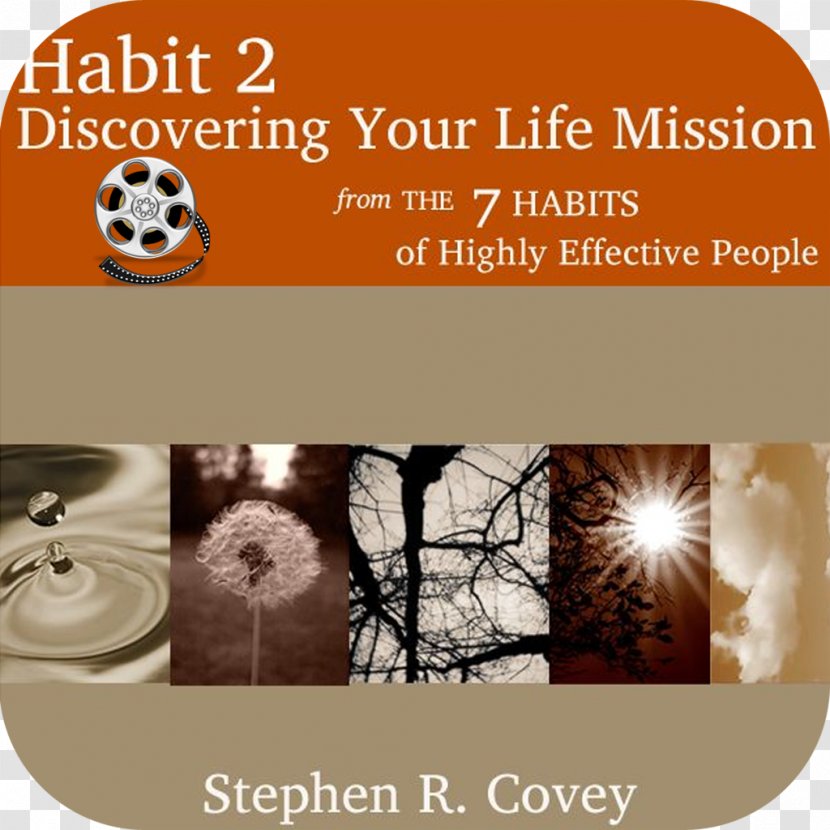 The 7 Habits Of Highly Effective People 8th Habit Principle-centered Leadership How To Develop Your Personal Mission Statement - Stephen Covey - Principle Transparent PNG