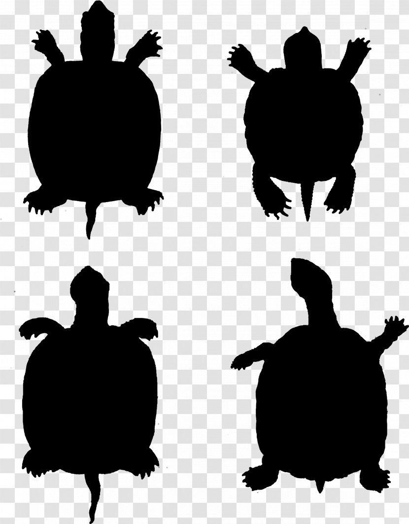Sea Turtle Background - Silhouette - Pond Transparent PNG