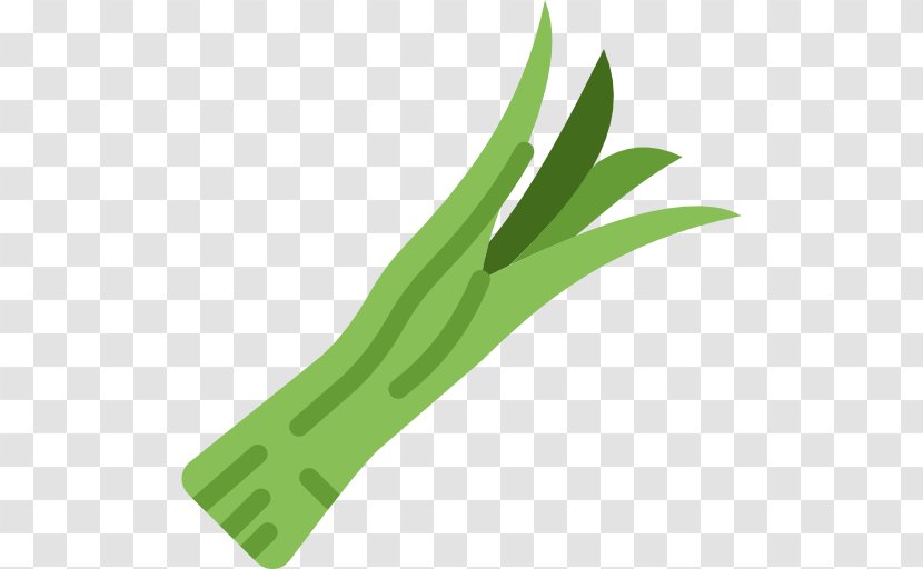 Icon - Scalable Vector Graphics - Green Grass Transparent PNG