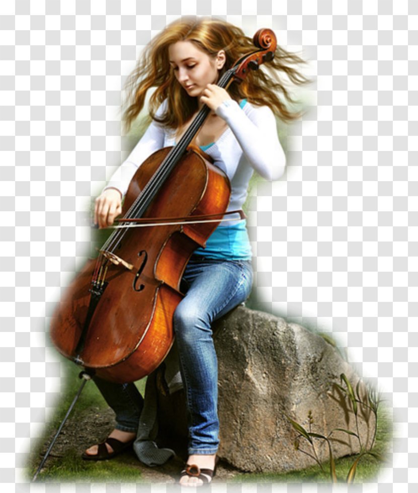 Violone Violin Cello Double Bass Viola - Tree Transparent PNG