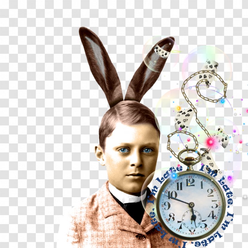 David Buehler Ear - Rabits And Hares Transparent PNG