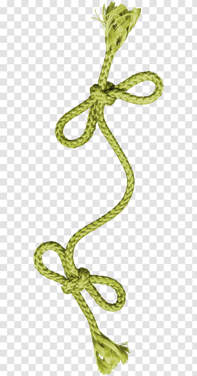 Rope Icon - Plant Stem - Floating Transparent PNG