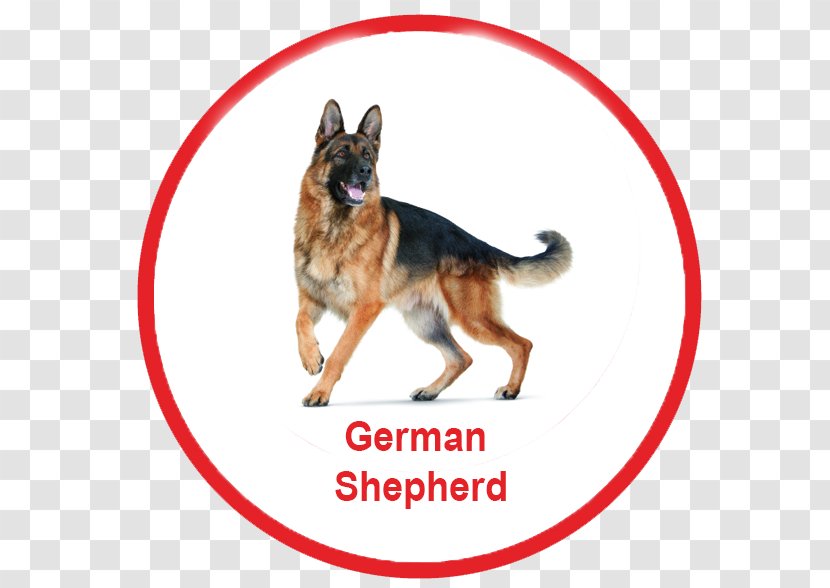 German Shepherd Dachshund Dog Toys Ball Fetch - Carnivoran - Silhouette Transparent PNG