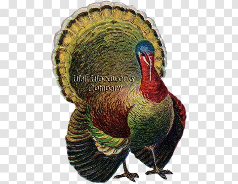 Turkey Meat Thanksgiving Clip Art - Document Transparent PNG