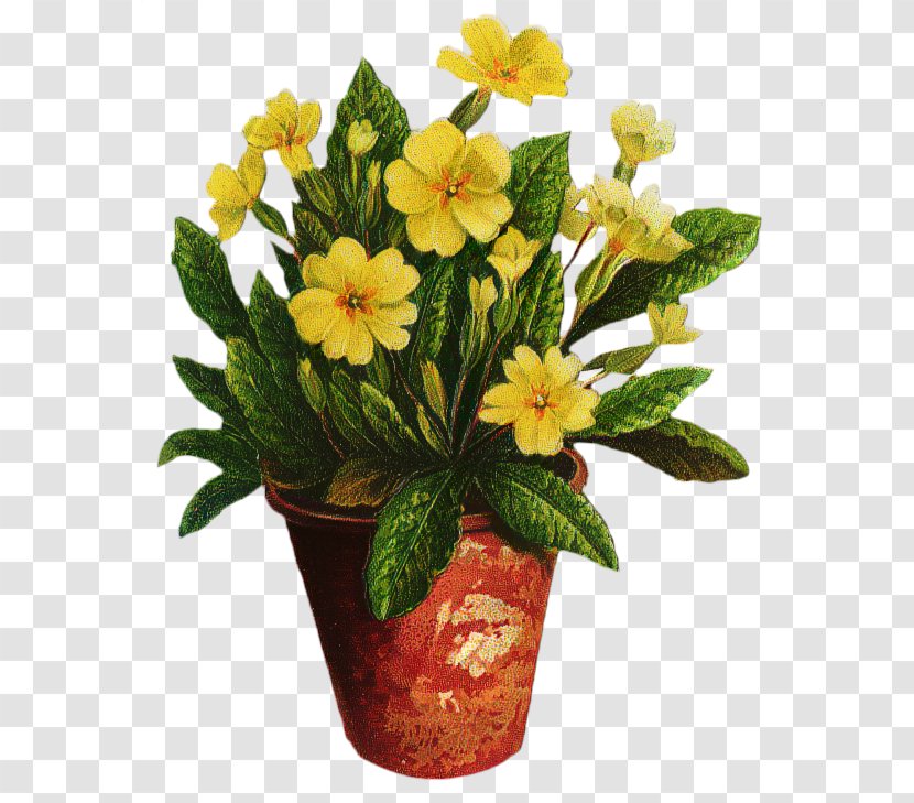 Cut Flowers Floral Design Primrose Friendship - Net - Petal Transparent PNG