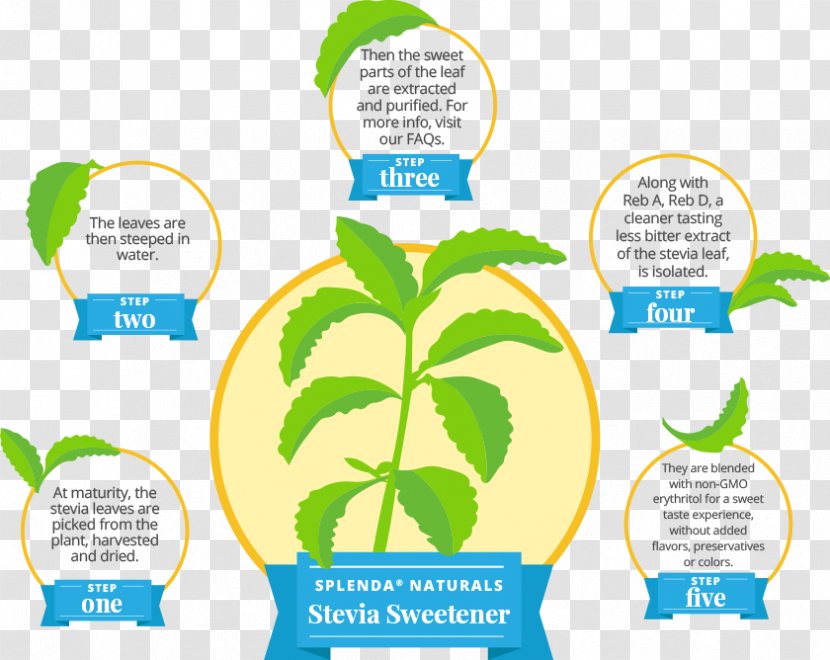 Stevia Cranberry Juice Sucralose Sugar Substitute Splenda - Erythritol Transparent PNG
