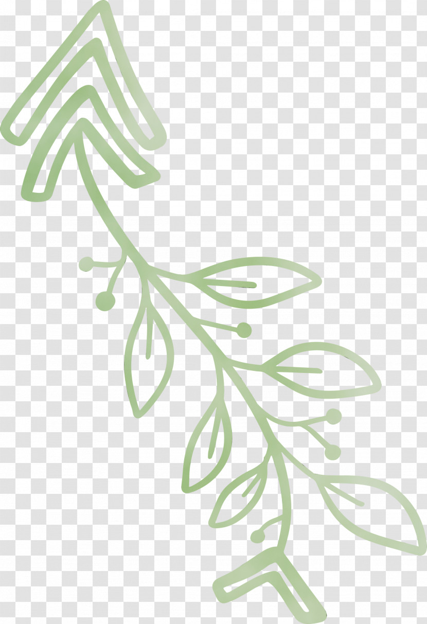 Plant Stem Flower Leaf Green Meter Transparent PNG