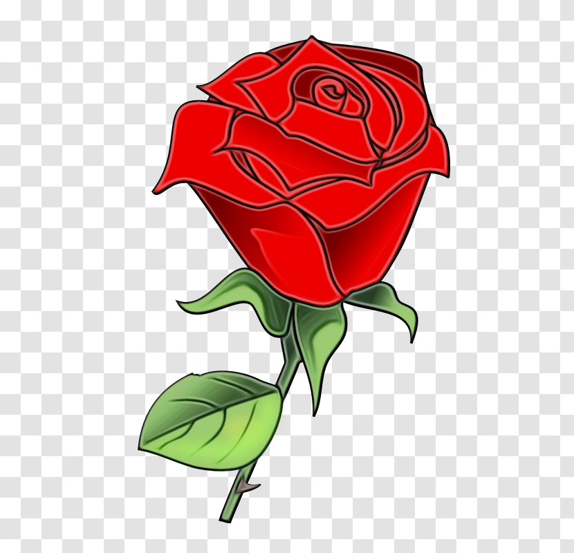 Garden Roses - Rose Family - Petal Floribunda Transparent PNG