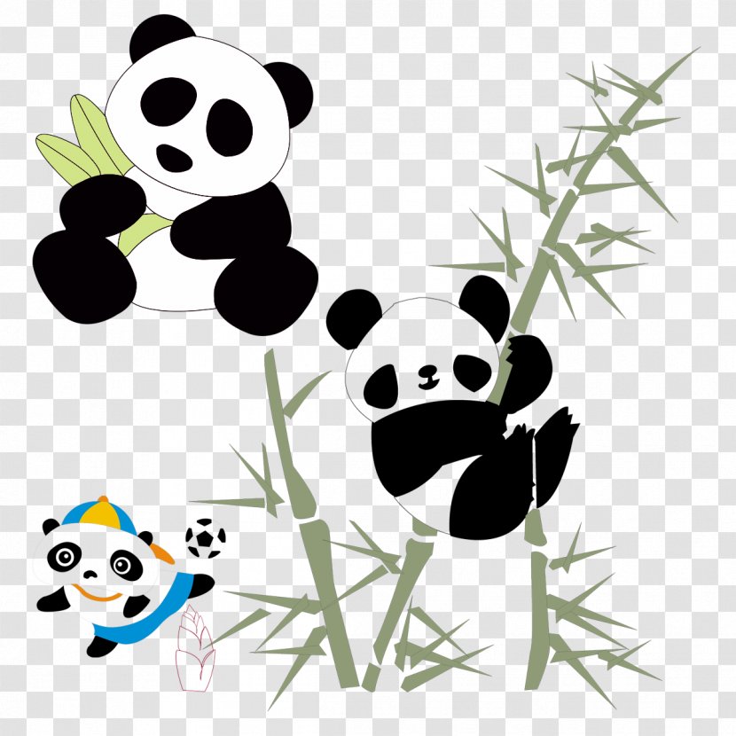 Giant Panda Red Cuteness Cartoon - Organism - Cute Transparent PNG