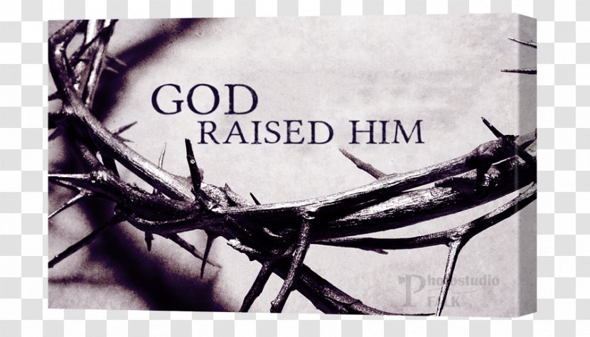 Crown Of Thorns Thank You Jesus Easter Holy Monday Week Transparent PNG