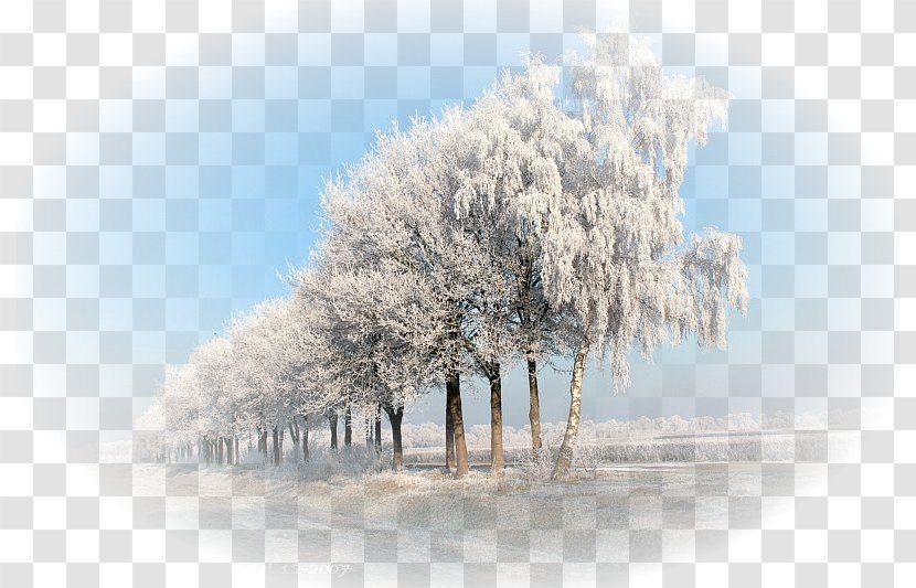 Desktop Wallpaper Winter Tree Snow Stock Photography - Sky Plc - Landscape Transparent PNG