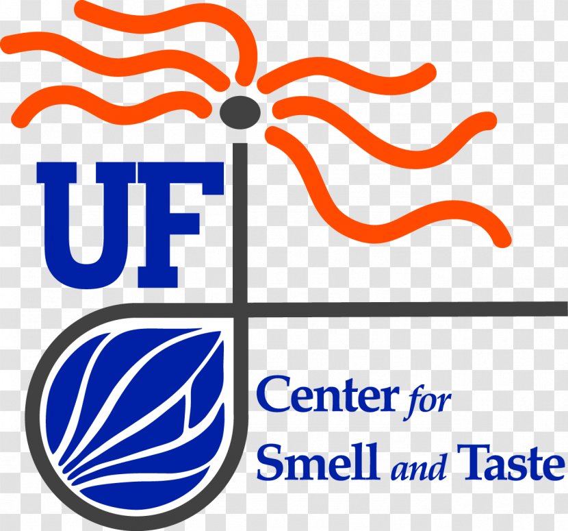 University Of Florida Taste Olfaction Odor Sense - Perception Transparent PNG