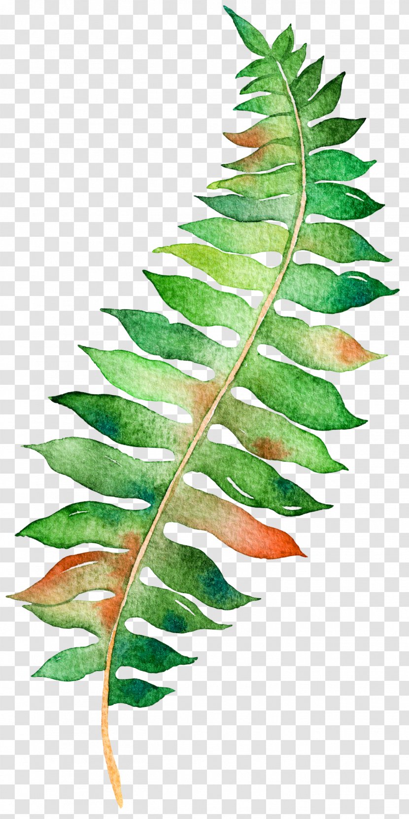 Paper Poster Watercolor Painting Illustration - Standard Size - Leaves Transparent PNG