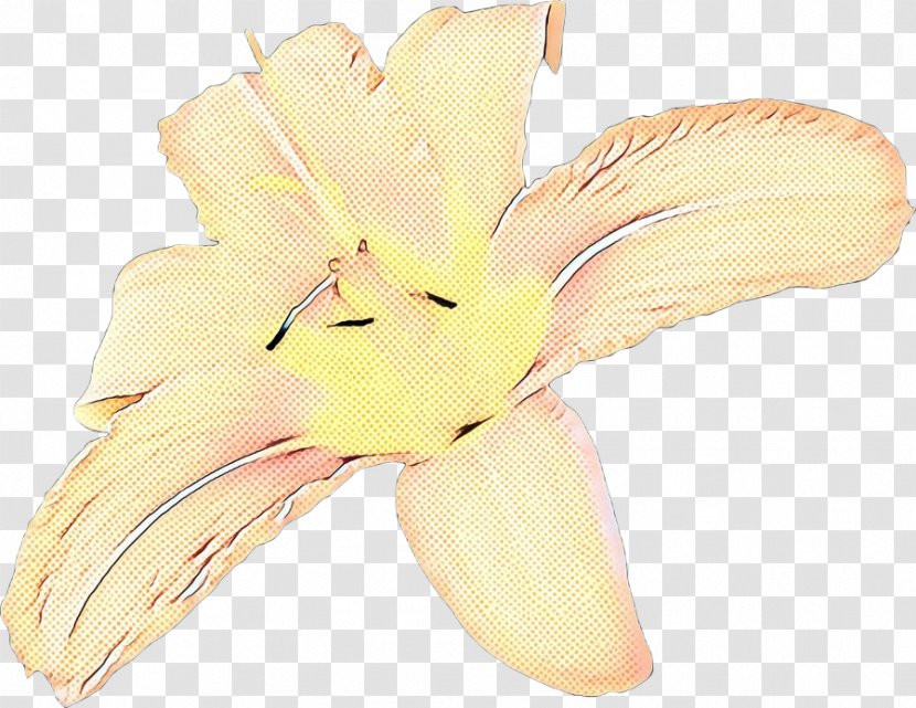 Flower Vintage - Yellow - Iris Feather Transparent PNG