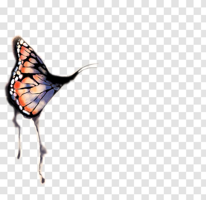 Monarch Butterfly Passer-by A Bed Qulubuhum Ma'ana Qanabelahom Alyna Novel Arabic - Wing - Book Transparent PNG