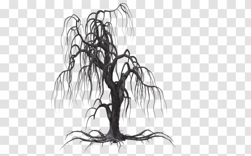 Tree Weeping Willow Drawing Clip Art - Plant - Creepy Transparent PNG