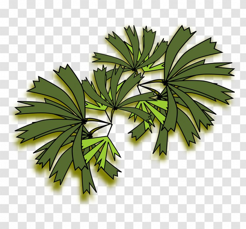 Arecaceae Tree Rhapis Excelsa Clip Art - Plant - Palm Leaves Transparent PNG
