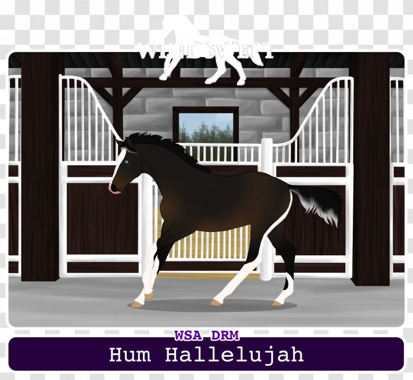 Stallion Bridle Mustang Hunt Seat Foal - Livestock Transparent PNG