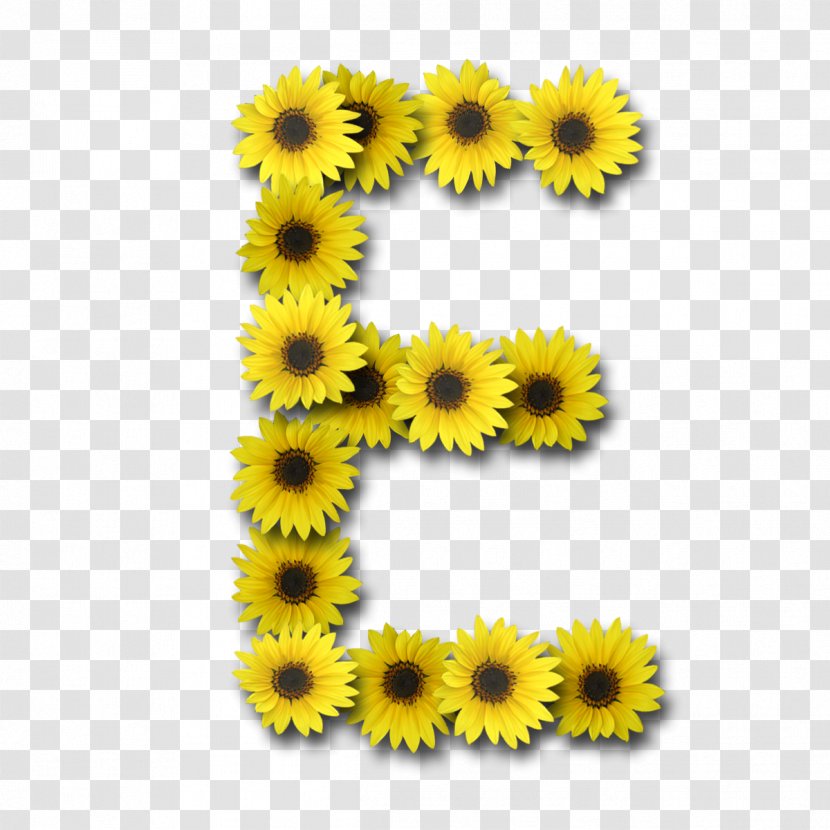 Letter Case Alphabet - Sunflower Seed Transparent PNG