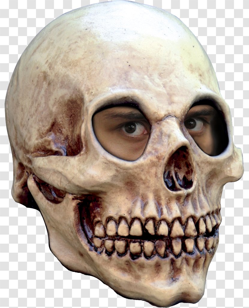 Mask Halloween Costume Human Skeleton Skull Transparent PNG