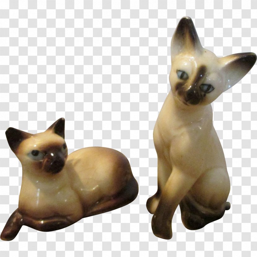 Siamese Cat Tonkinese Whiskers Dog Breed - Like Mammal Transparent PNG