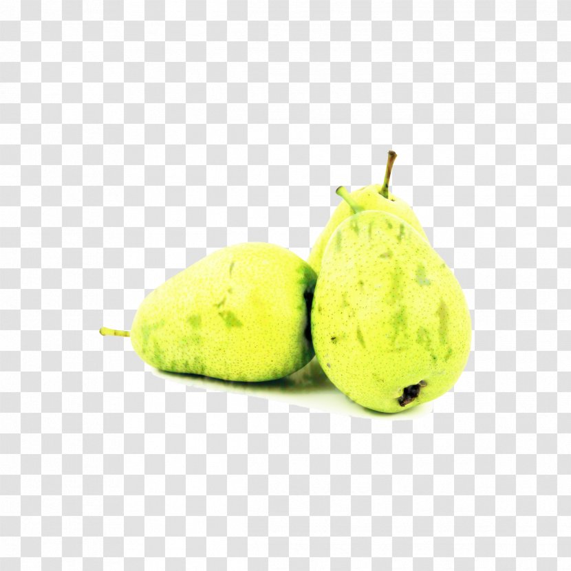 Fruit Tree - Guava - Food Transparent PNG
