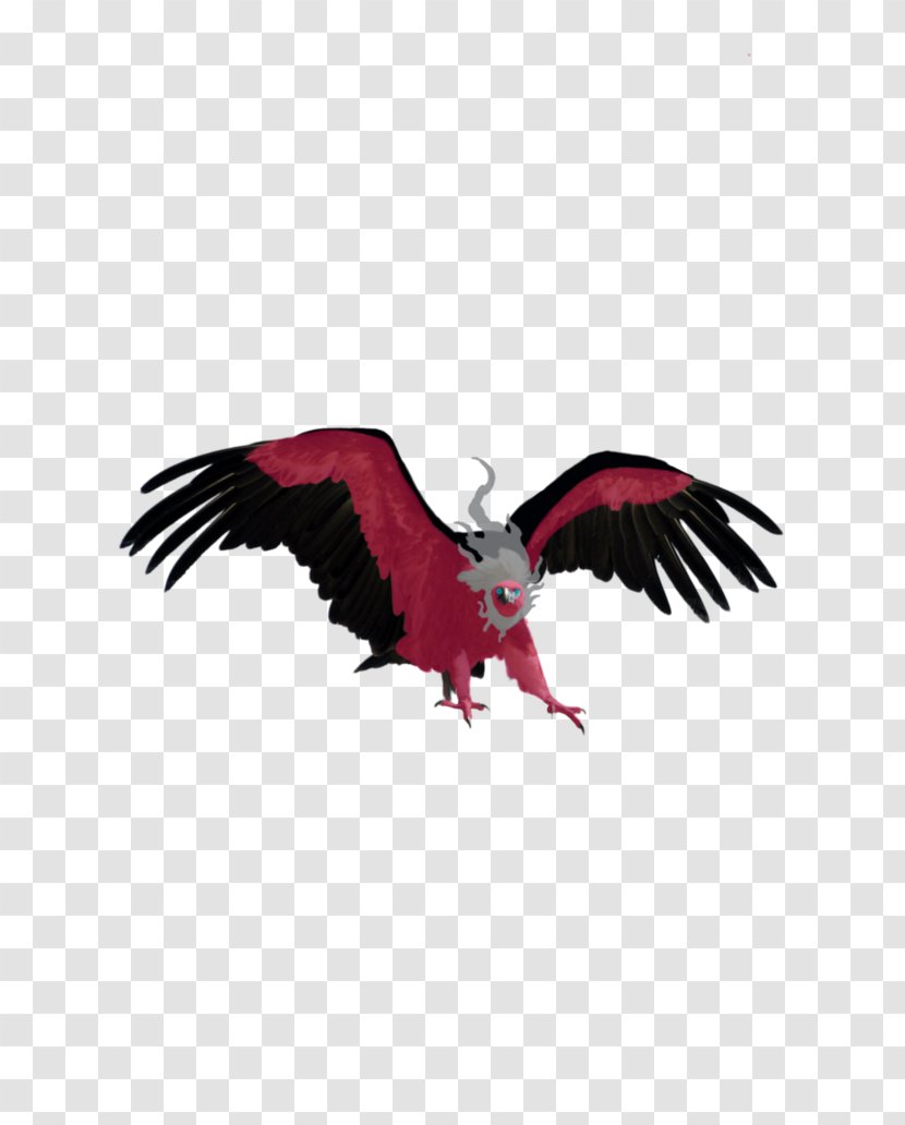 Eagle Vulture Bird - Realism Transparent PNG