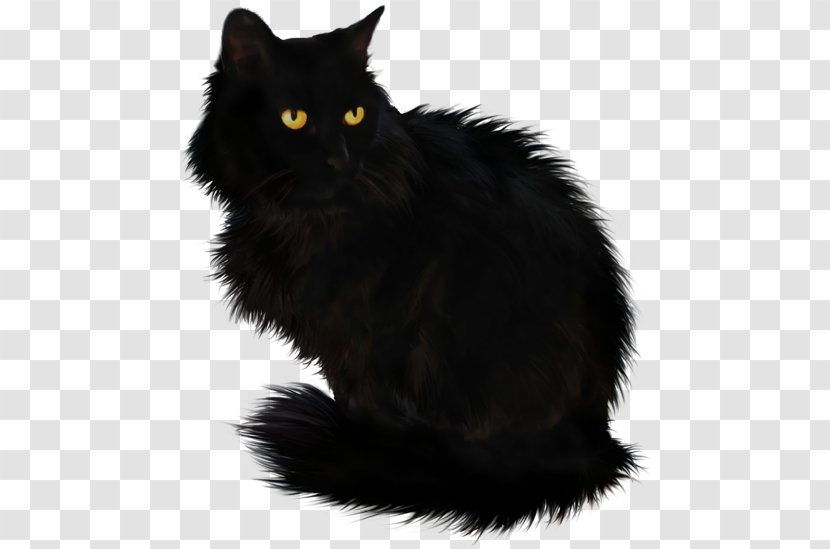 Black Cat Maine Coon Domestic Long-haired Cymric Short-haired - Hello Mother Transparent PNG
