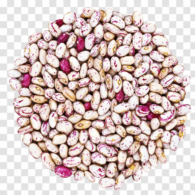 Cranberry Bean Vegetarian Cuisine Food Ingredient - Nuts Seeds - Cranberries Transparent PNG