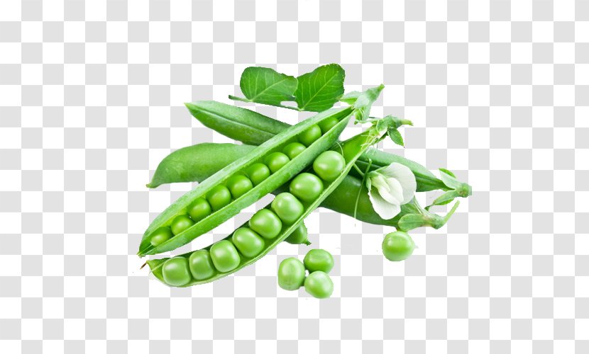 Snow Pea Snap Seed Vegetable Green Bean - Natural Foods Transparent PNG