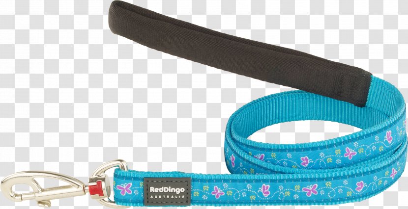 Leash Dog Dingo Puppy Turquoise - Fashion Accessory Transparent PNG