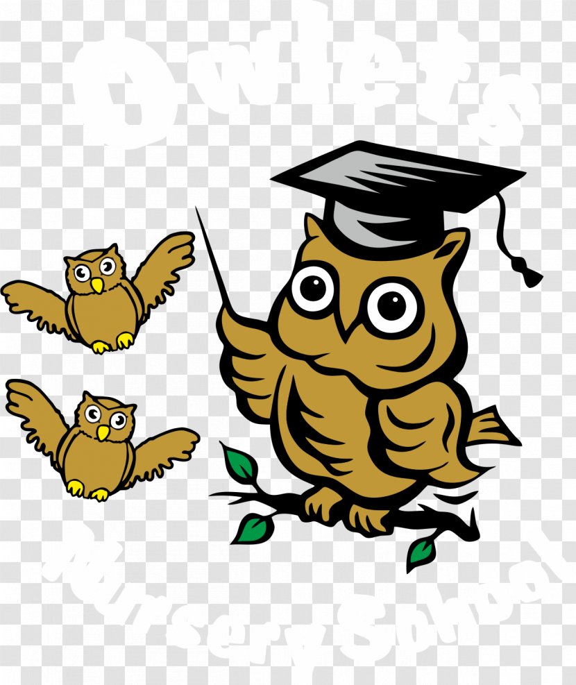 Owl Clip Art - Drawing - Expression Transparent PNG