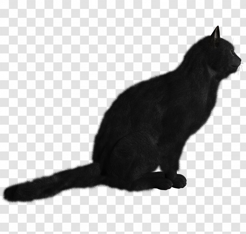 Black Cat Kitten Clip Art Transparent PNG