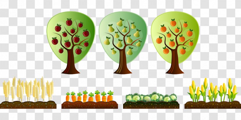 Agriculture Farm Plantation Clip Art - Tree Transparent PNG