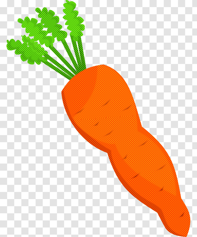 Carrot Root Vegetable Radish Daikon Vegetable Transparent PNG