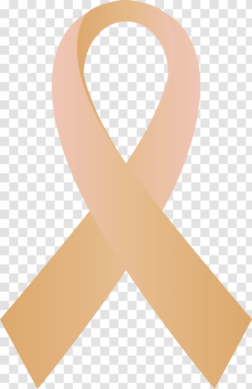 Solidarity Ribbon Transparent PNG