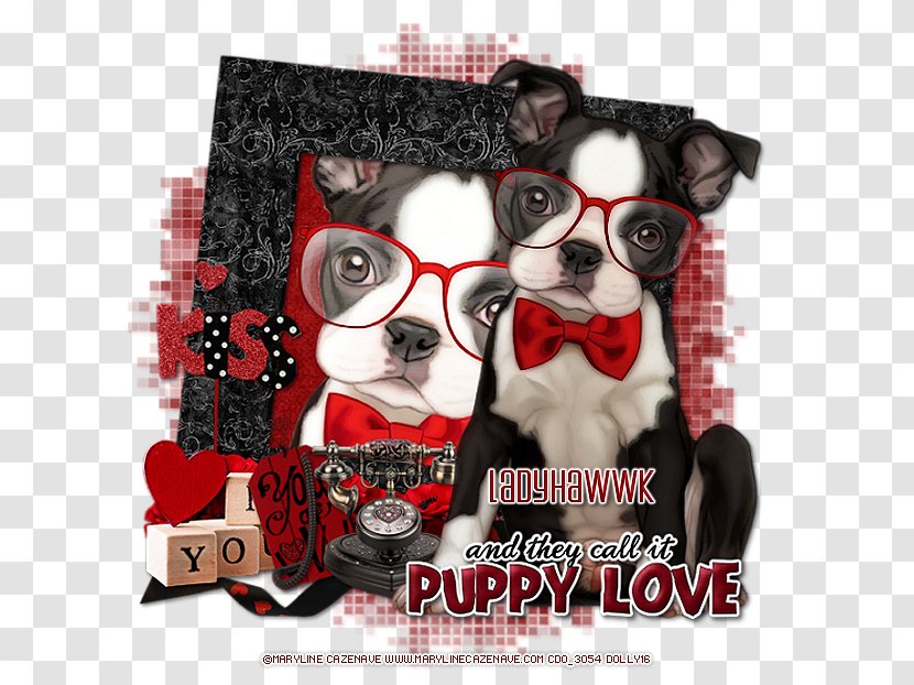Boston Terrier French Bulldog Earring Puppy Transparent PNG