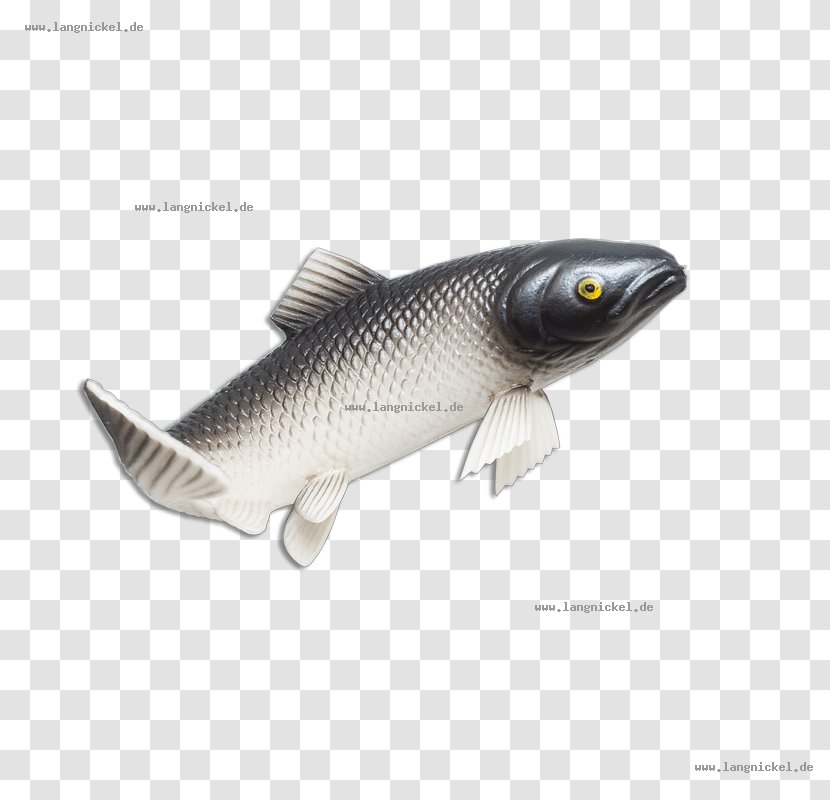 Milkfish - Fish - Shop Transparent PNG