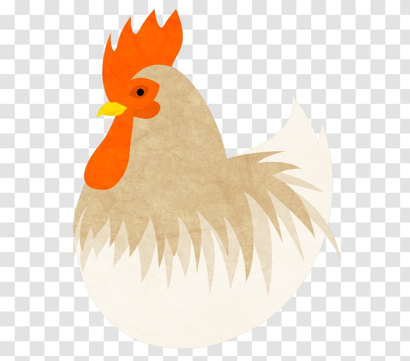 Rooster Chicken Meat - Hen - Pets Material Plane Transparent PNG