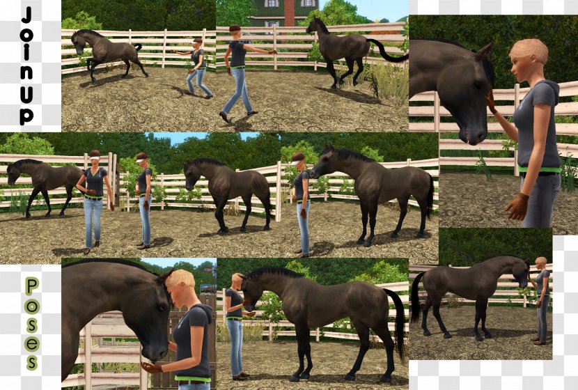 MySims The Sims 3 Mare Foal Mustang Transparent PNG