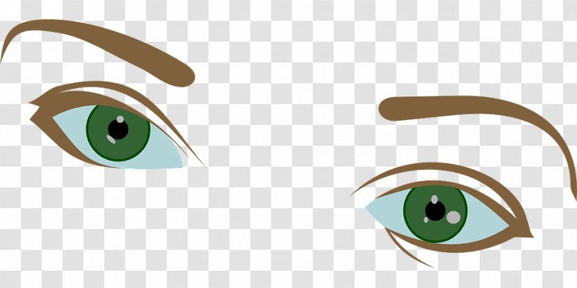 Iris Clip Art Eyebrow Image - Silhouette - Eye Transparent PNG