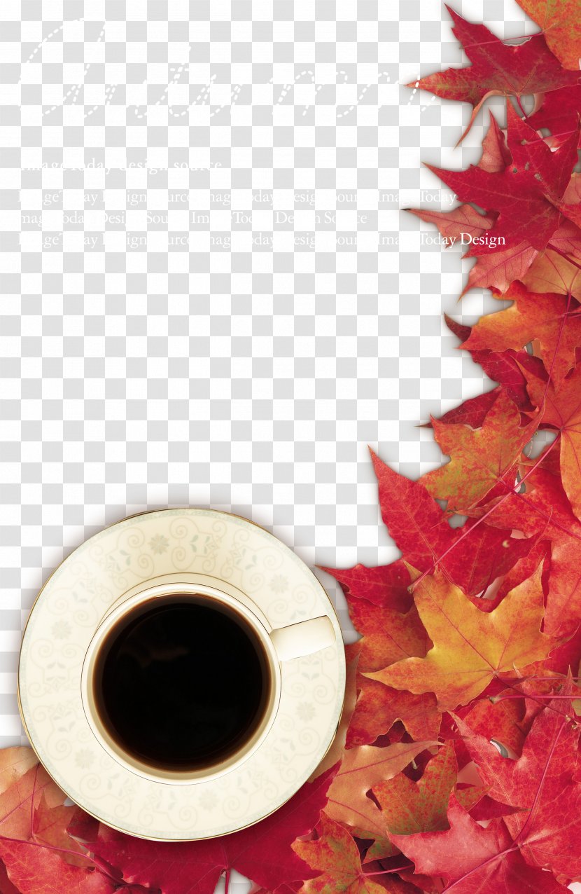 Autumn Colors - Petal - Color Transparent PNG