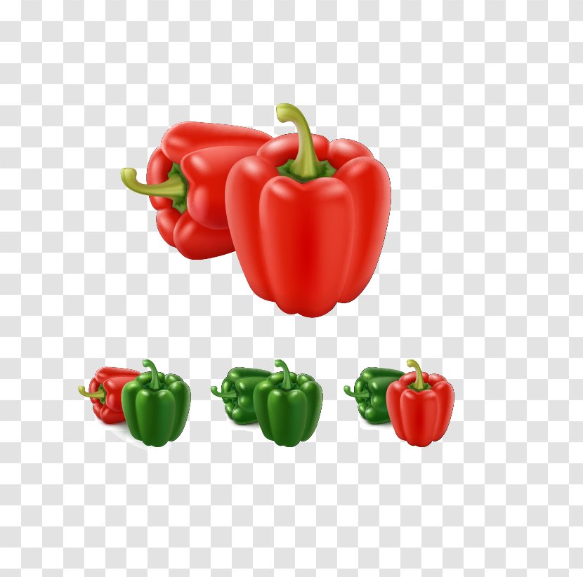 Bell Pepper Paprika Illustration - Capsicum Annuum - Vector Vegetables Transparent PNG