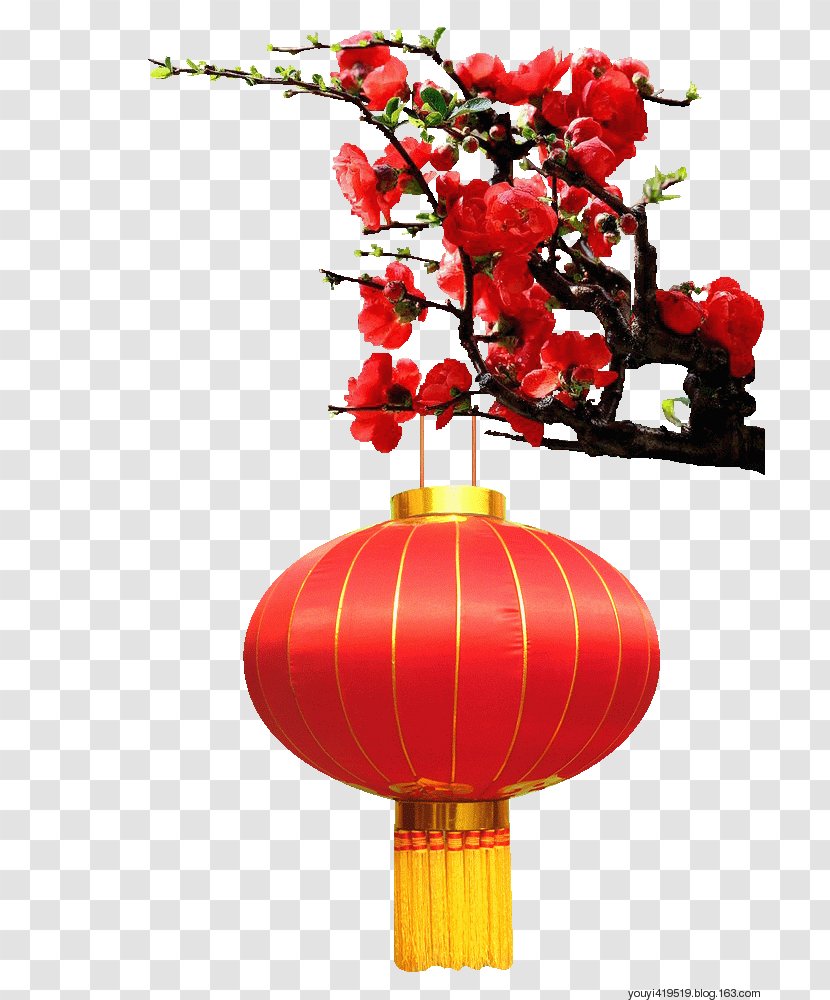 Chinese New Year Lantern Image Festival Vector Graphics - Big Red Transparent PNG