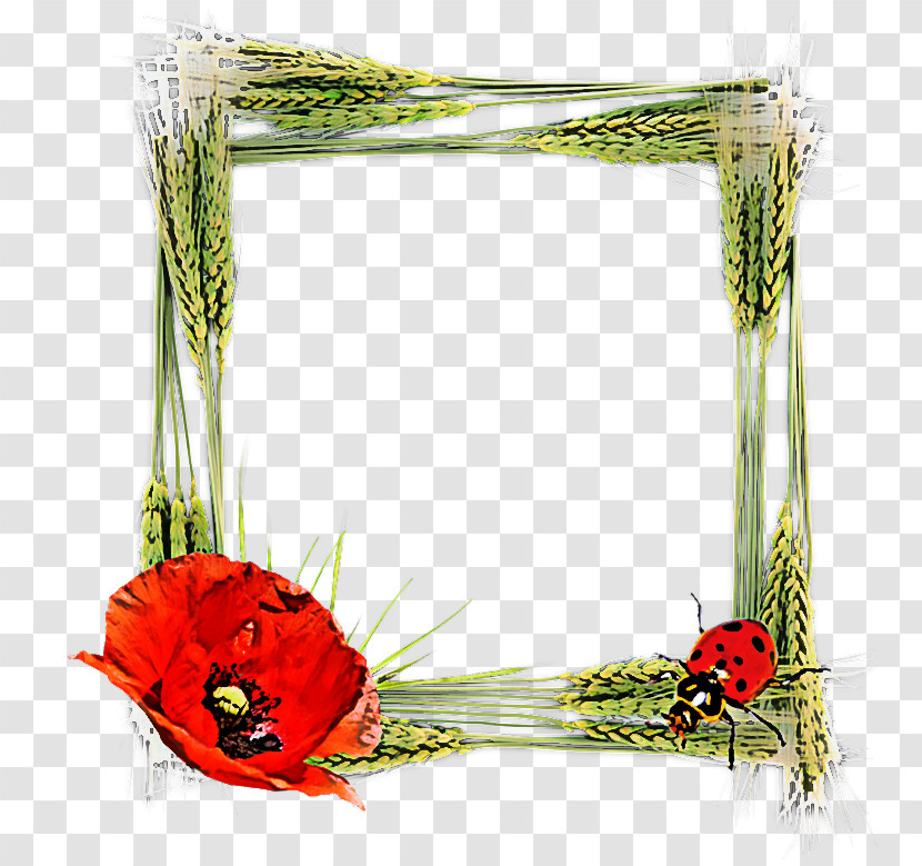 Picture Frame Transparent PNG