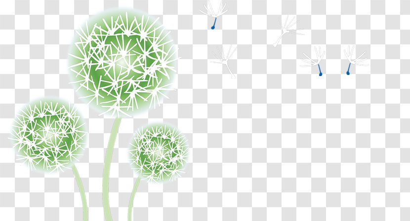 Flower Common Dandelion Clip Art - Green Transparent PNG
