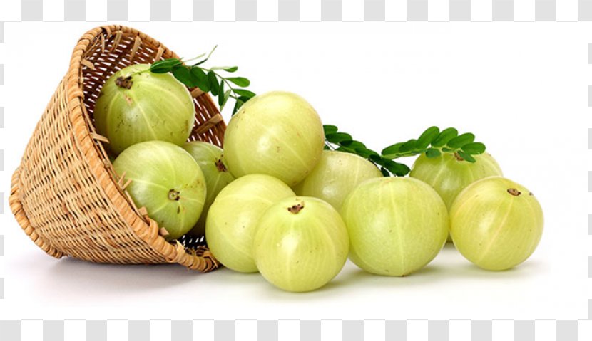 Indian Gooseberry Health Herb Myrobalan - Vegetable - Oil Herbal Transparent PNG