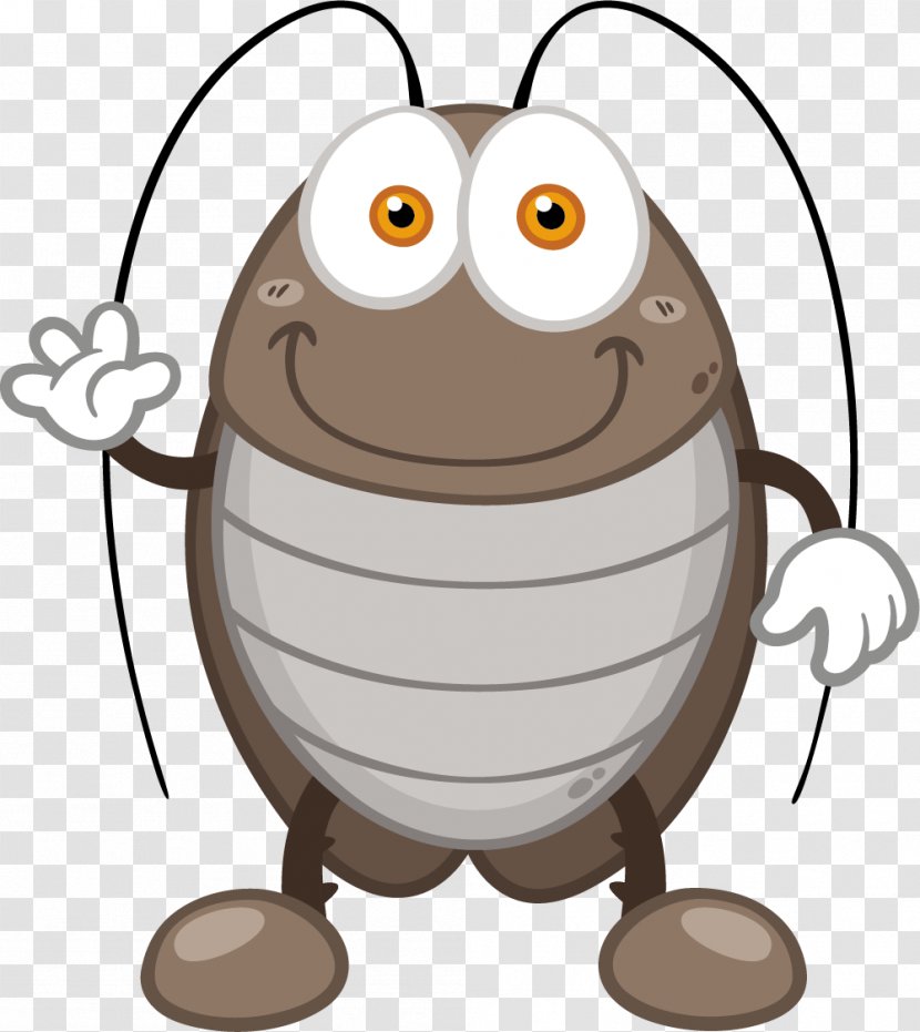 Cockroach Cartoon Clip Art - Owl - Black Transparent PNG
