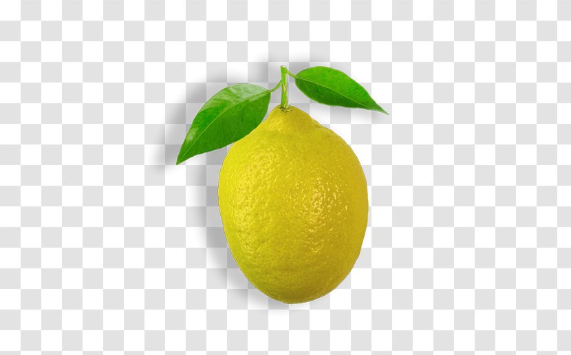 Persian Lime Sweet Lemon Key Citron Transparent PNG