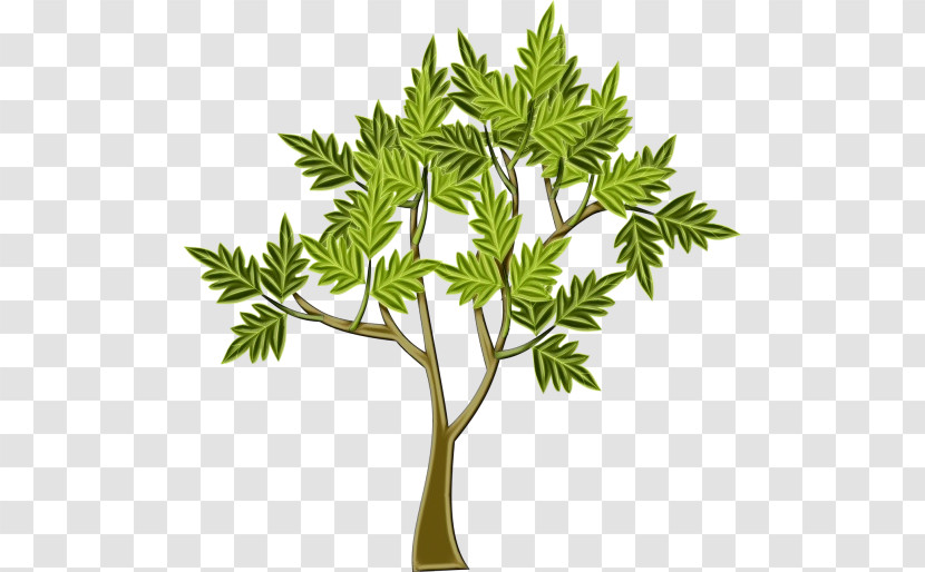 Leaf Plant Stem Tree Flowerpot Branching Transparent PNG